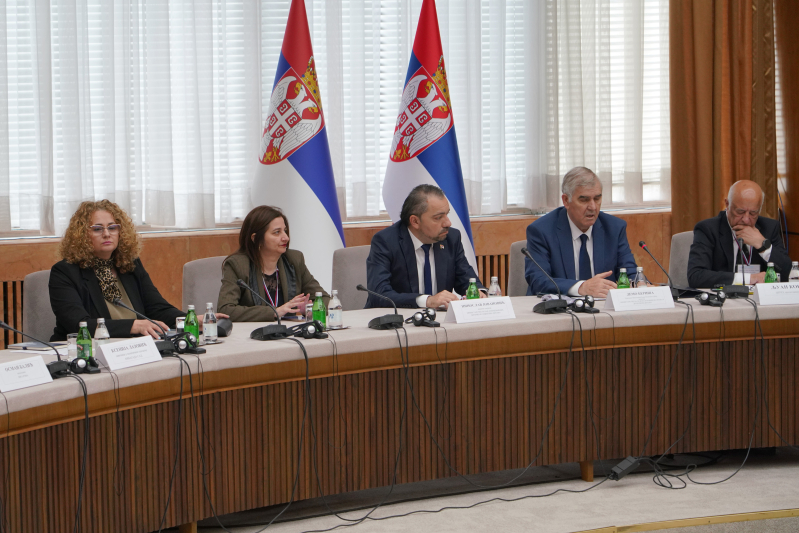 Одржана конференција о страдању Рома током сукоба на Косову и Метохији